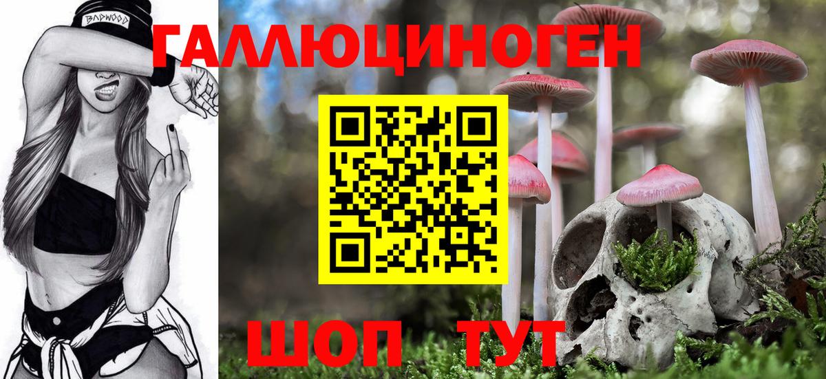 Будённовск  Галлюциногенные грибы MAGIC MUSHROOMS  Вход с VPN 